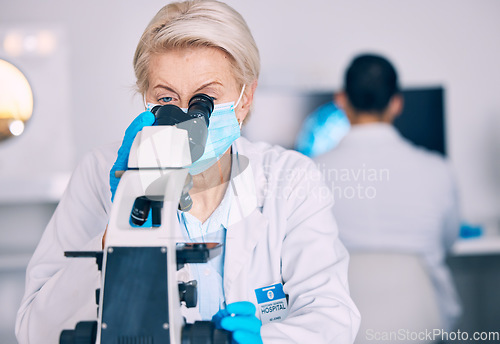 Image of Microscope, senior woman and lab research with science work for a pharmaceutical or medical study. Chemistry, biometric and molecule analytics equipment for particles investigation in a hospital