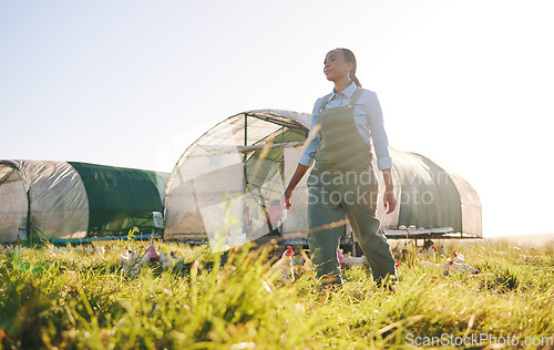 Image of Chicken farm, black woman and agriculture work on a eco friendly and sustainable with mockup space. Countryside, field and agro farmer with a smile from farming, animal care and working in nature