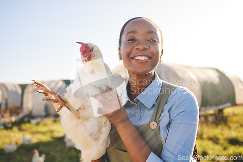 Image of African farmer woman, chicken and portrait outdoor in field, healthy animal or sustainable care for livestock at agro job. Poultry entrepreneur, smile and bird in nature, countryside or agriculture