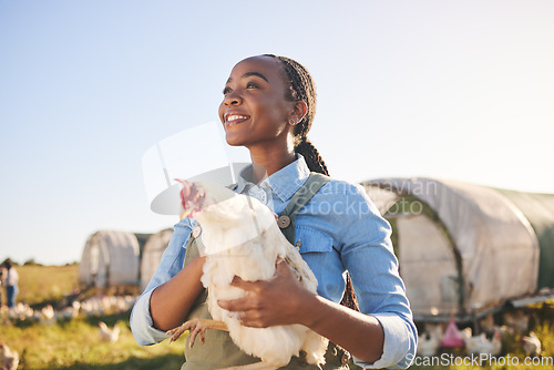 Image of Farm, agriculture and black woman with chicken in field, countryside or nature for protein, growth or ecology. Agro business, sustainable farming and farmer and bird for free range poultry production