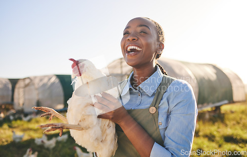 Image of Farm, chicken and happy black woman in field, countryside and nature for agriculture, growth and ecology. Agro business, sustainable farming and farmer with bird for free range poultry production