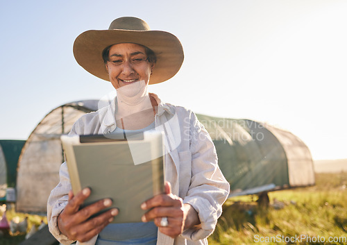 Image of Farm, chicken and woman on tablet in field, countryside and nature for internet, research and growth analysis. Agriculture, sustainable farming and farmer on digital tech for production inventory