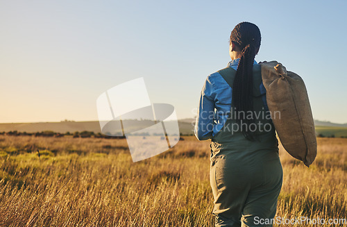 Image of Agriculture, space and sunset with woman on farm for environment, sustainability and plant. Garden, grass and nature with back of person walking in countryside for ecology, mockup and soil health