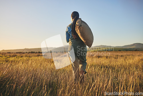 Image of Agriculture, sunset and back of woman on farm for environment, sustainability and plant. Garden, grass and nature with person walking in countryside field for ecology, production and soil health