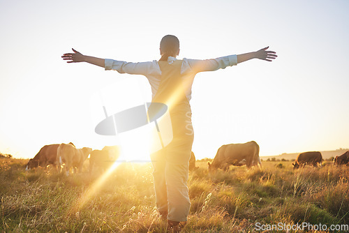 Image of Sunrise, cow and woman on farm with open arms for freedom, adventure and excited for agriculture. Sustainable farming, morning and back of farmer with cattle, livestock and animals in countryside