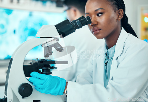 Image of Microscope, scientific and female scientist working in a medical study in pharmaceutical lab. Professional, science and African woman researcher doing chemistry research with biotechnology equipment.