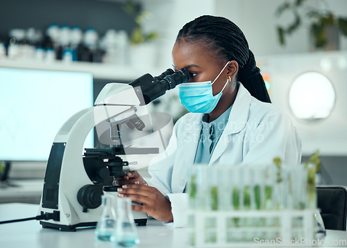 Image of Microscope, medical and female scientist with a face mask in pharmaceutical lab for virus analysis. Professional, science and African woman researcher working on breakthrough research with equipment.