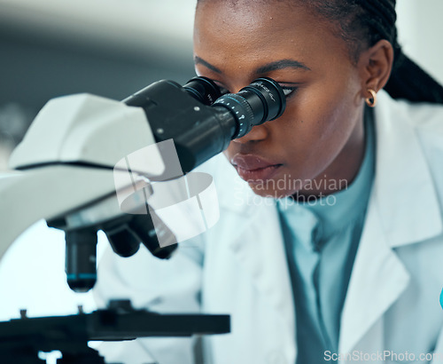 Image of Scientist, woman and microscope in laboratory research, blood test and dna or virus analysis for medical study. Professional science or african person in biotechnology and lens check for particles