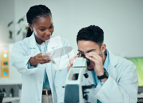 Image of Scientist, teamwork and microscope, plant research and natural study, medicine and growth check in laboratory. Medical students or science people with test tube for green analysis and collaboration