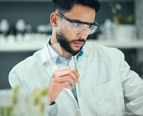 Image of Science, test tube plant and man research natural product, biotechnology or botany drugs innovation. Lab investigation, pharmacy trial process and male scientist inspection of organic biochemistry