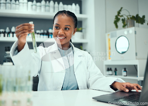 Image of Science lab, black woman and smile for test tube plant grow, pharmaceutical progress or breakthrough success. Laptop, laboratory development and happy female scientist typing natural medicine results