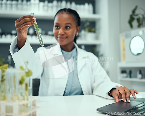 Image of Science, black woman and happy for test tube plant progress, biotechnology results or botany research success. Natural medicine, development and female scientist smile for chemical solution process