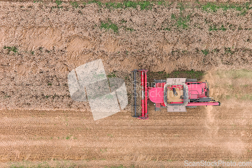 Image of Agriculture machine harvesting golden ripe wheat field