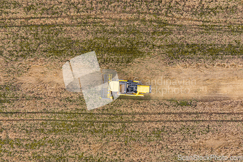 Image of Combine harvester working on the wheat field