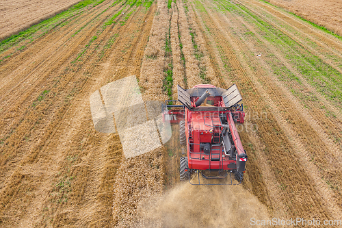 Image of Combine harvester on the wheat field