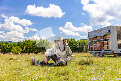 Image of Portrait of a beekeeper in a protective uniform