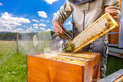 Image of Beekeeper inspecting a beehive