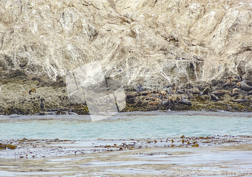 Image of Bird Rock in California