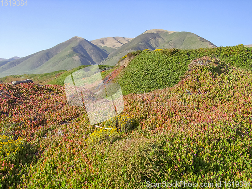 Image of idyllic coastal scenery in California