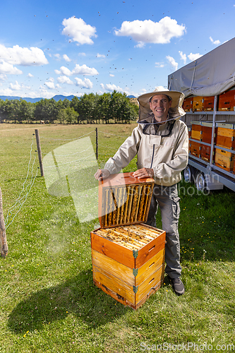 Image of Male beekeeper wearing protective costume