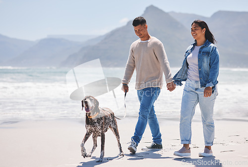 Image of Beach, walking and couple with dog by ocean for freedom, adventure and bonding together in nature. Happy pet, excited canine and man and woman holding hands by sea for exercise, wellness and health