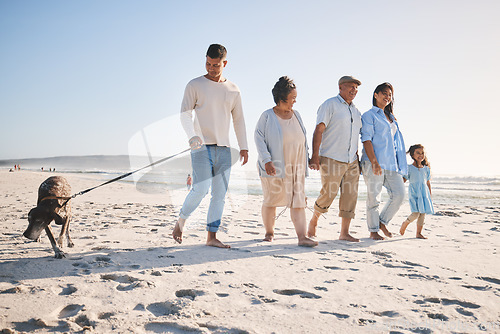 Image of Walking, family and a dog outdoor at the beach in summer for fun, freedom and vacation. People, child and grandparents with a pet on sand at sea on holiday for travel, love and happiness in nature