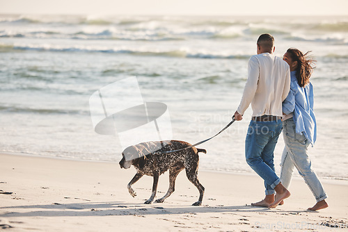 Image of Beach, walking and couple with dog to relax by ocean for freedom, adventure and bonding in summer. Happy pet, excited canine and man and woman by sea for exercise, wellness and health in nature
