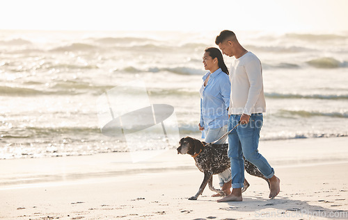 Image of Beach, pet and couple walking with dog by ocean for freedom, adventure and bonding together in nature. Healthy animal, dating and man and woman by sea for exercise, wellness and training at sunset