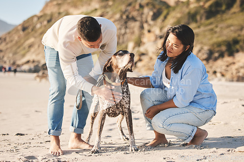 Image of Beach, happy and couple with dog by ocean for freedom, adventure and bonding together in nature. Happy pet, domestic animal and man and woman play by sea for exercise, wellness and walking in nature