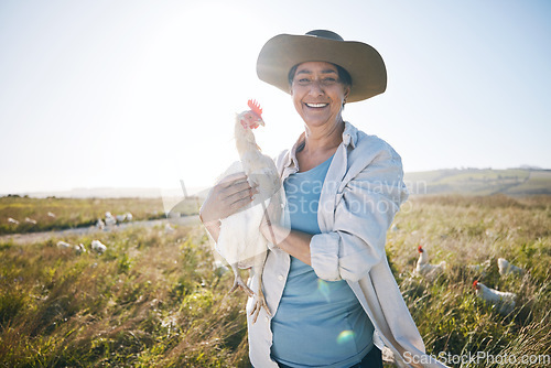 Image of Agriculture, farm and a woman outdoor with a chicken animal care, development and small business. Farming, sustainability and portrait of a poultry farmer person with organic produce in countryside