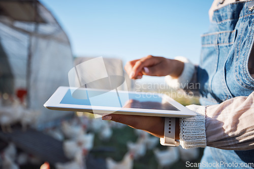 Image of Agriculture, tablet and farm with hands of person in nature for chicken, sustainability and planning. Technology, animals and monitor with closeup of farmer in countryside field for digital research