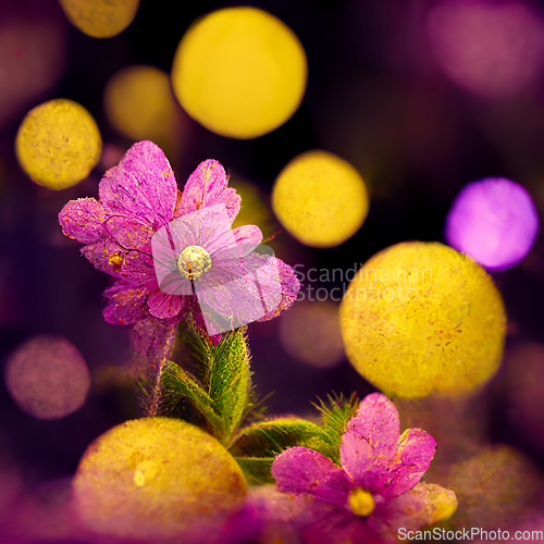 Image of Purple, pink and yellow abstract flower Illustration.