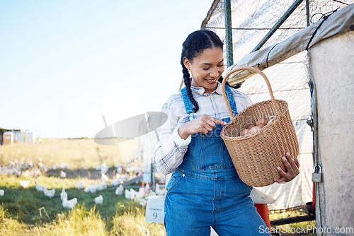 Image of Woman with eggs in basket on farm chicken on grass, smile and sunshine in countryside field for sustainable business. Agriculture, poultry farming and happy farmer holding food in nature with animals