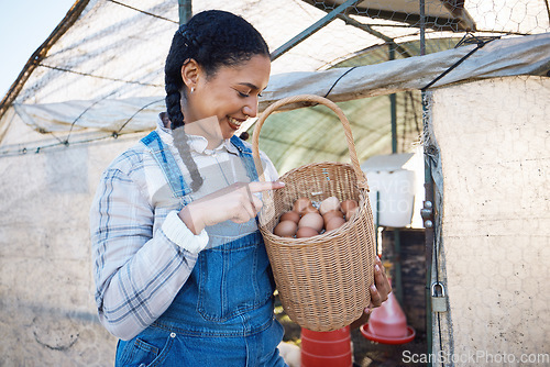Image of Happy woman checking eggs in basket at farm chicken coop, inspection and countryside greenhouse at sustainable business. Agriculture, poultry and girl farmer with smile, pride for food and counting.