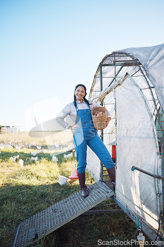 Image of Smile, woman and eggs in basket on farm with chicken, grass and sunshine in countryside field for sustainable business. Agriculture, poultry farming and happy farmer with food in nature and coop.