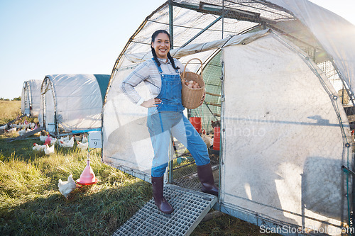 Image of Chicken farming, smile and woman with eggs in basket, coop and sunshine in countryside greenhouse with sustainable business. Agriculture, poultry farm and happy farmer with food, animals and nature.