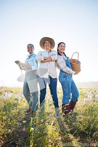 Image of Chicken, women and a working together on a farm with technology for inspection and quality control. Farming, sustainability and portrait of farmer group with eggs outdoor for teamwork and production