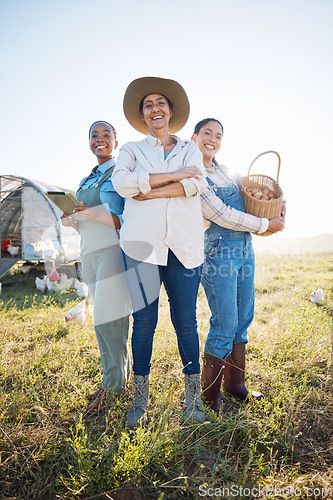 Image of Eggs, women and working together on farm with technology for inspection and quality control. Farming, sustainability and portrait of farmer group with chicken outdoor for teamwork and small business