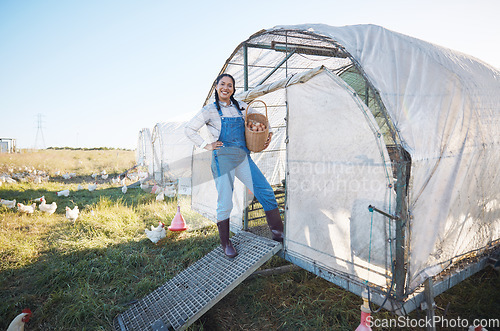 Image of Chicken farming, happy woman with eggs in basket, coop and sunshine in countryside greenhouse with sustainable business. Agriculture, poultry farm and farmer with smile, food and animals in nature.