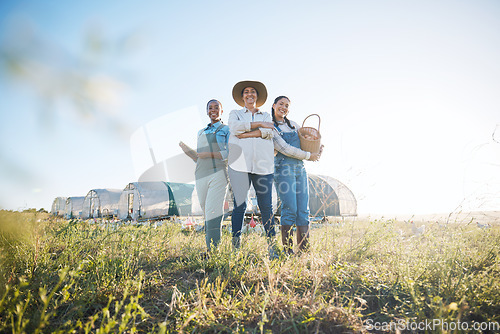 Image of Farmer team, women and together on a farm for inspection, production and quality control. Farming, sustainability and portrait of group of people with eggs outdoor for teamwork in countryside