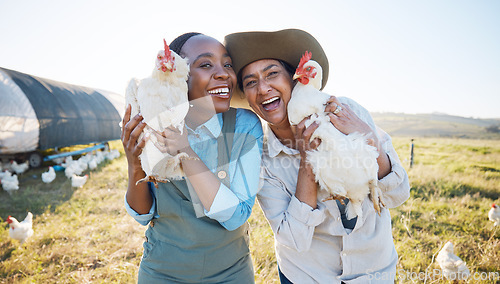 Image of Portrait, teamwork or farmers chicken on farm or field harvesting poultry livestock in small business. Dairy production, collaboration or happy women with animal, hen or rooster for sustainability