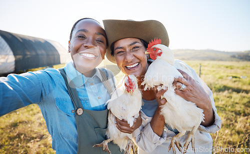 Image of Smile, selfie or farmers on a chicken farm in countryside on field harvesting livestock in small business. Social media, happy or portrait of women with animal birds to take photo for farming memory