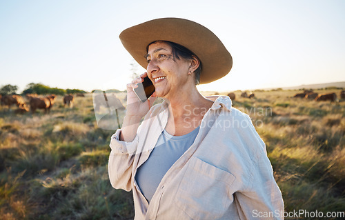 Image of Woman, farmer and phone call in countryside with cow, person and cattle on farm with smile for live stock in nature. Happy, female worker or social network, connection and communication in rural land