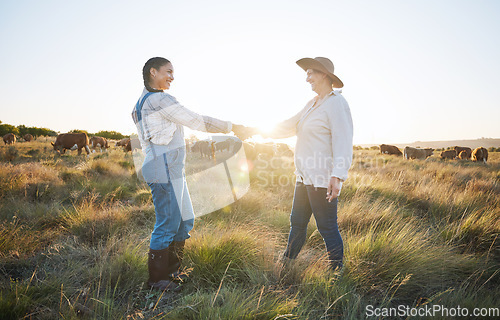 Image of Farmers, shaking hands or b2b partnership deal for sustainability, agriculture or meat production on field. Success, handshake or happy people meeting in cattle farming small business collaboration