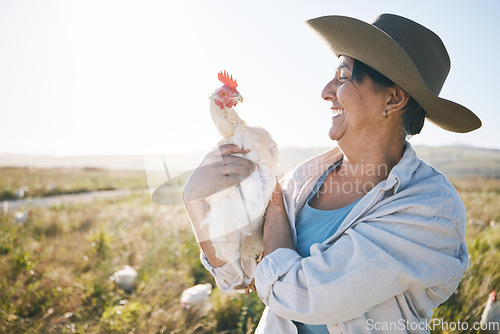 Image of Farmer, senior woman and agriculture, chicken and field with sustainability and livestock. Poultry farm, agro business and free range, countryside and environment with nature and happy with animal