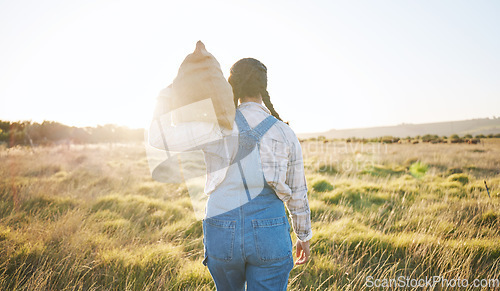 Image of Walking, sack or farmer farming on grass field harvesting production in small business to trade. Back, supply chain or person working with bag for sustainability or agro development in countryside