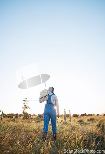 Image of Walking, bag or farmer farming cattle in grass field harvesting production in small business to trade. Back, mockup space or woman working with sack for animal sustainability or cows on countryside