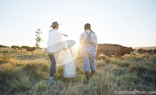 Image of Walking, teamwork or farmers farming cattle on field harvesting poultry livestock in small business. Dairy production, collaboration or women carrying tank for animal sustainability or cows in nature