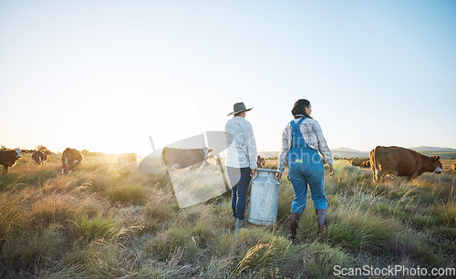 Image of Walking, teamwork or farmers farming cows on field harvesting poultry livestock in small business. Dairy production, collaboration or women carrying tank for animal sustainability or cattle in nature