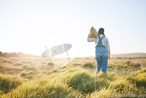 Image of Walking, bag or farmer farming in nature harvesting production in small business to trade. Back, mockup space or woman working with bag for sustainability or agro development on countryside field